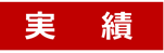 Microsoft Word 実績